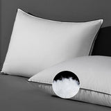 DWR Cloud-Like Luxury Feathers Down Pillows Set of 2, Soft & Fluffy Support with 100% Organic Cotton Cover, Ideal for Back & Stomach Sleepers – Not for Firm Pillow Lovers (20"x26")