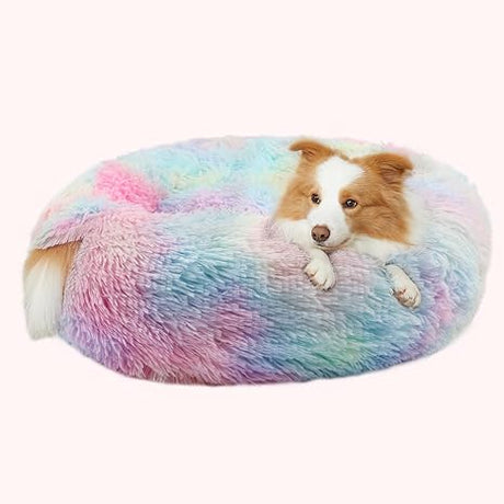 Dog Beds for Small Dogs, Donut Dog Bed with Blanket Attached, Calming Dog