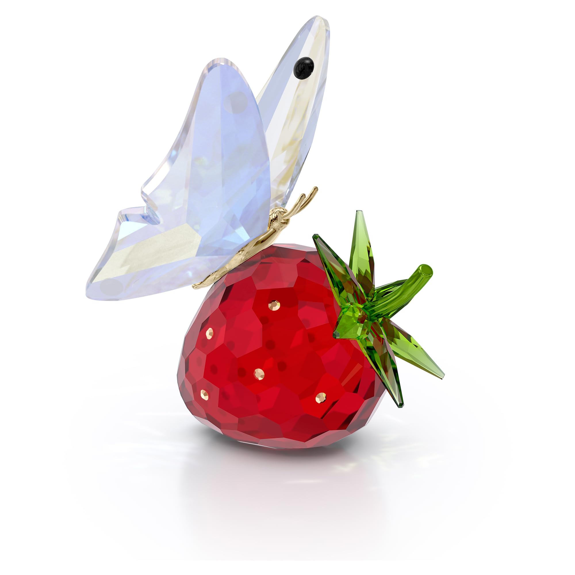 Idyllia Butterfly and Strawberry