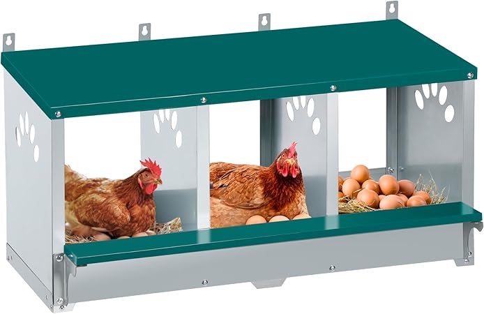 Chicken Nesting Box, 10 Compartment Nesting Box, 10 Room Metal Nesting Boxes