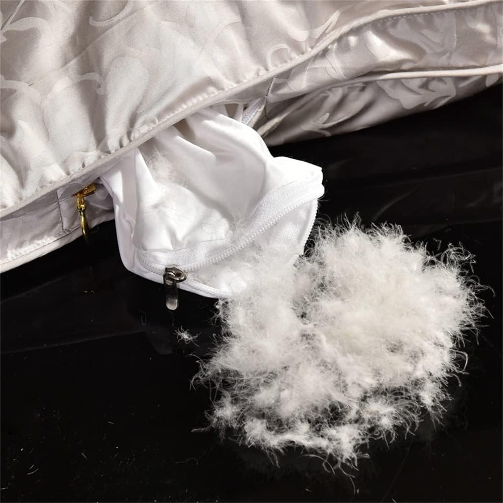 ZUIAI White Duck Down Quilt Down Fluffy Cozy Four Seasons Duvet Brocade Warm Queen King Quilted Comforters(220X240cm 2.75kg)