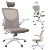 Home Desk Office Chair, High Back Ergonomic Desk Chair with Lumbar Support