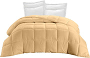 All-Season Usable - 100% Egyptain Cotton Twin XL Size 68 x 92 Inches 1 Piece Soft Quilted