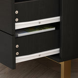 Modern Nightstand with 2 Storage Drawers