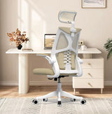 Office Chair - Ergonomic Office Chair with Lumbar Support