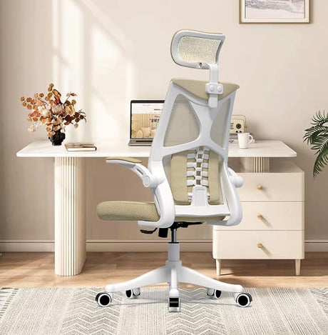 Office Chair - Ergonomic Office Chair with Lumbar Support