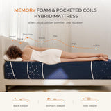 Queen Mattress, 12 Inch Queen Size Hybrid Mattress in a Box,