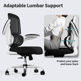 Office Chair - Ergonomic Desk Chair with Adjustable Lumbar Support, Mesh Computer