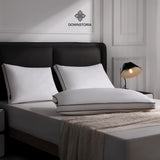 Feather Down Pillows King Size Set of 2 with Gusset
