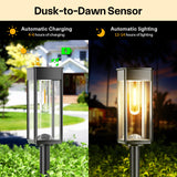 Solar Pathway Lights for Outside, 4 Pack Solar Garden Lights Outdoor