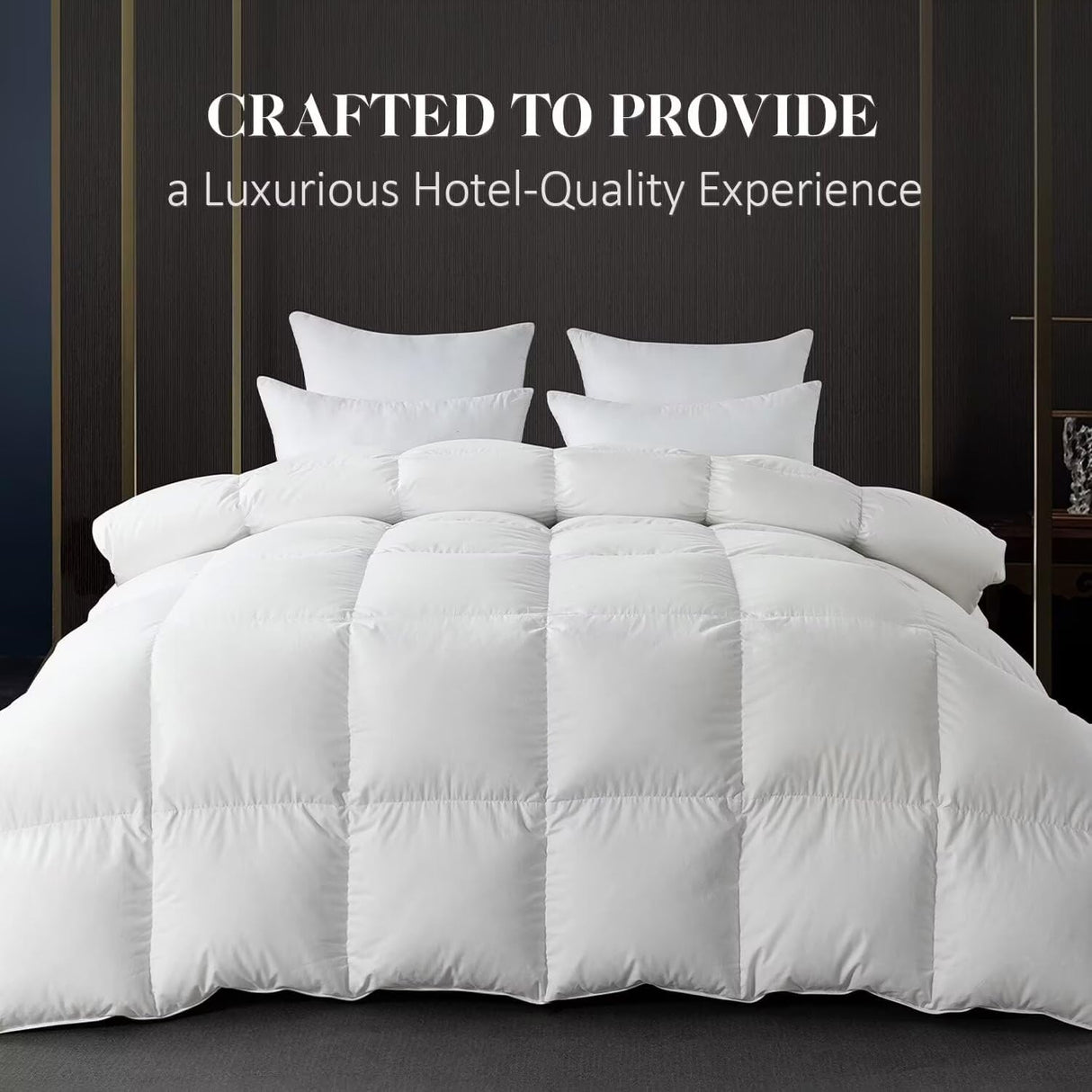 White Queen Size Feather Down Comforter, Filled with Feather and Down, All Season