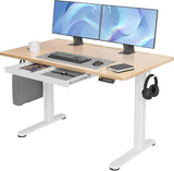 Standing Desk with Drawers, Stand Up Electric Standing Desk Adjustable Height