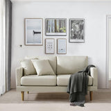 59" Loveseat Sofa, Modern Small Couches for Small Spaces, Living Room, Bedroom