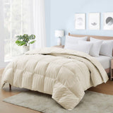 Premium 1000 Thread Count Queen Size 1 Piece Comforter (500GSM Fiber Fill)