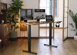 Electric Standing Desk, Adjustable Height Stand up Desk, 63x24 Inches Sit Stand Home