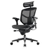 Quantum 9000 Series Ergonomic Mesh High-Back Executive Office Chair, Black, BIFMA