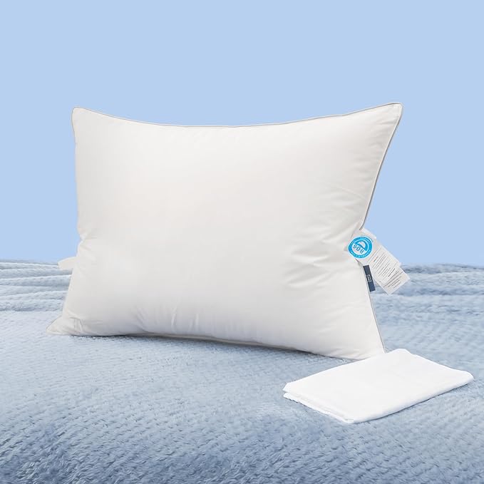 Natural Goose Down Pillows: Luxury Hotel Bed Pillow with 750 Fill Powe