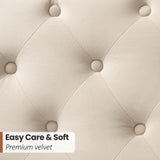 Queen Upholstered Bed with Tufted Wingback Headboard