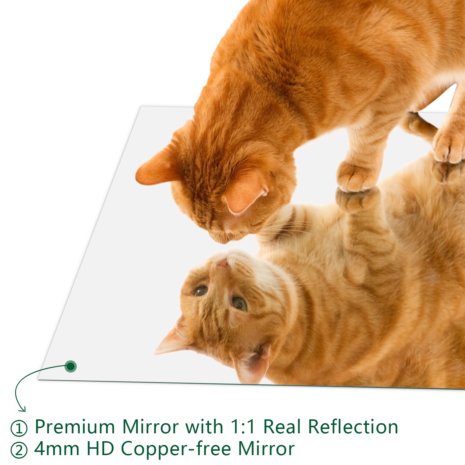 Frameless Mirror, Wall Mirror 48" x 30", Modern Bathroom Mirrors for Wall