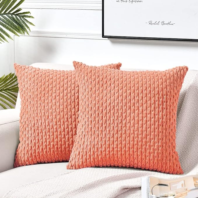 2 Packs Boho Cream Decorative Throw Pillow
