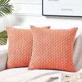 2 Packs Boho Cream Decorative Throw Pillow