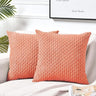 2 Packs Boho Cream Decorative Throw Pillow