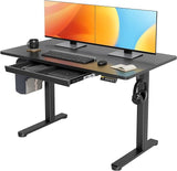 Standing Desk with Drawers, Stand Up Electric Standing Desk Adjustable Height