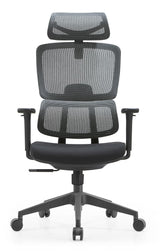 Premium Mesh Executive Home Office Desk Chair, with Ergonomic Lumbar, Black