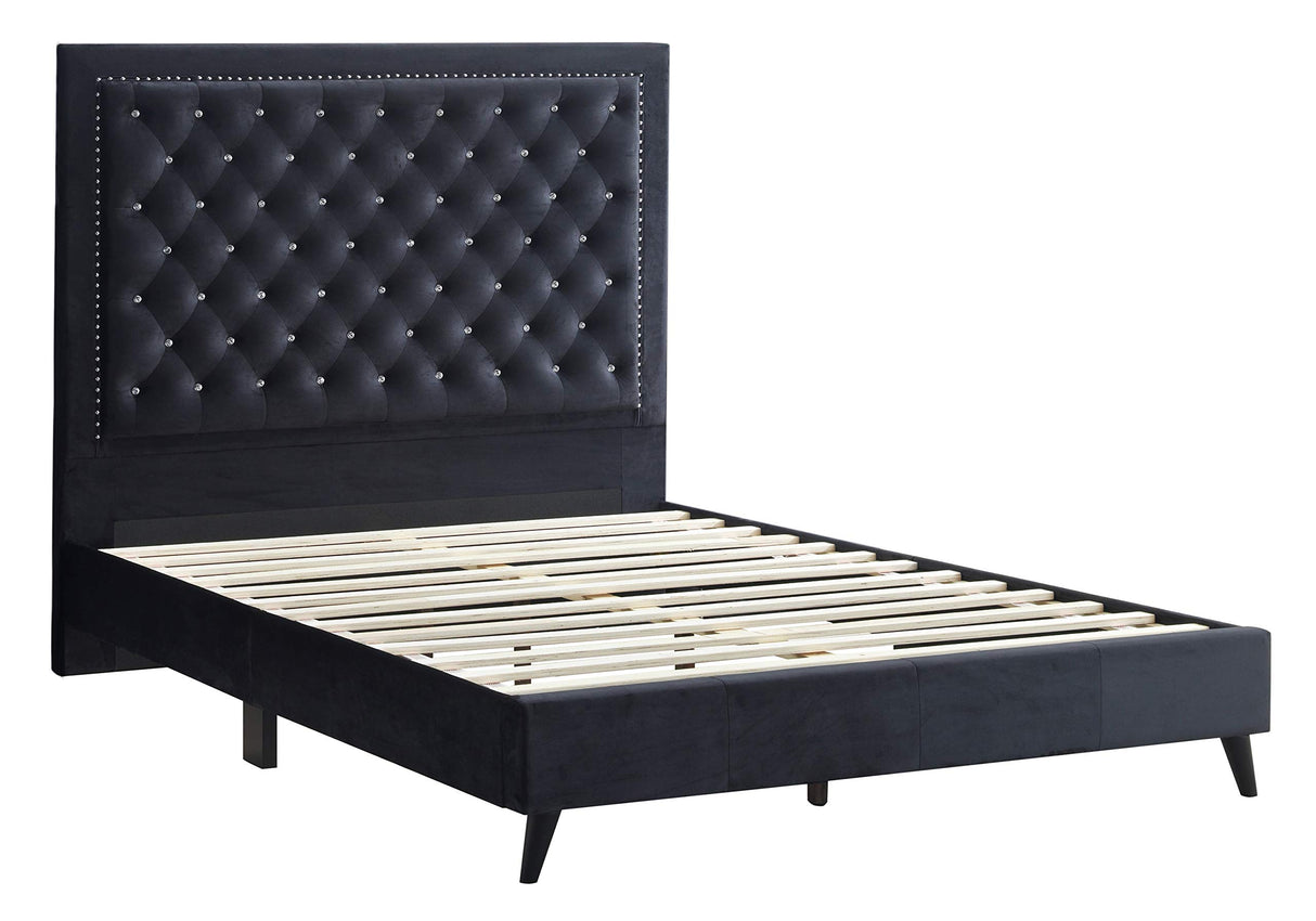 Alba Velvet Upholstered Queen Bed in Black