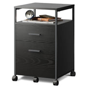 2 Drawer File Cabinet, Mobile Printer Stand with Open Storage Shelf