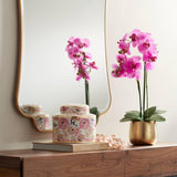 Indara Scalloped Corner Rectangular Vanity Decorative Wall Mirror Antique Gold Wood