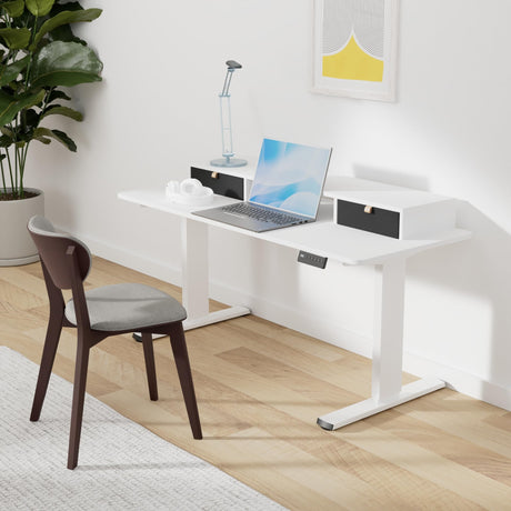 Electric Standing Desk with Drawer, Solid One-Piece Adjustable Height Desk with Storage