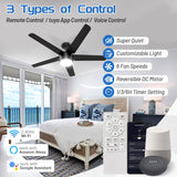 52 Inch Smart Ceiling Fan, DC Reversible Motor Noiseless Timing 3CCT Dimmable, Black