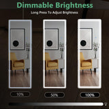 Full Length LED Mirror 64x21 with Adjustable Lighting