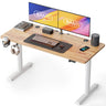 55"x24" Standing Desk, Electric Stand up Height Adjustable Home Office Table