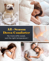 3D Baffle Box Real Down Comforter, 750 Fill-Power Ultra-Soft Down Duvet Insert, All Season White Feathers Down Twin Comforter, Medium Warm Bed Comforter, Fluffy and Cozy, 8 Corner Tabs - 68" X 90"