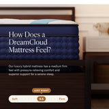 14" Queen Mattress - Luxury Hybrid Memory Foam - 365 Night Trial - 7 Premium Pressure