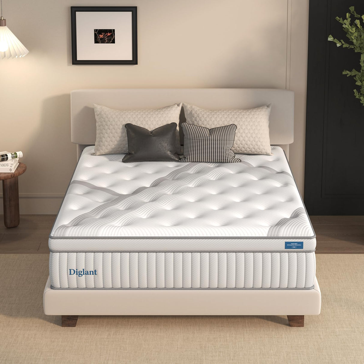 Queen Mattresses, DIGLANT 14 Inch Plush Hybrid Mattress, Queen Size Memory Foam