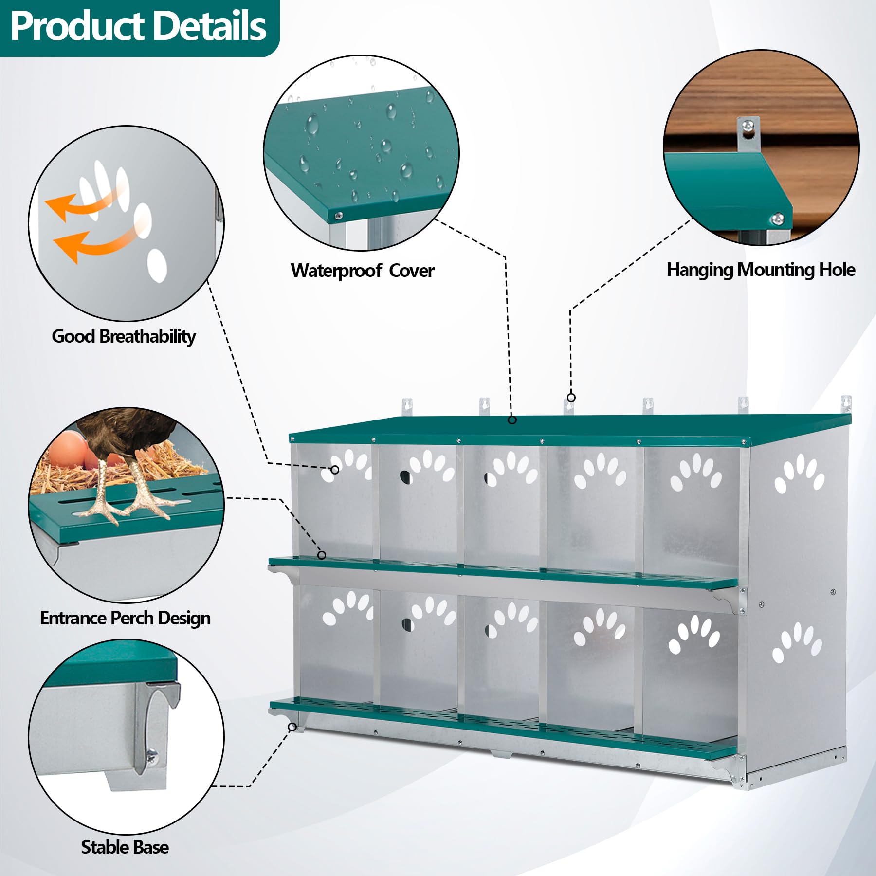 Chicken Nesting Box, 10 Compartment Nesting Box, 10 Room Metal Nesting Boxes