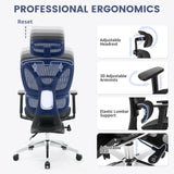 Office Chair, Reclining High Back Mesh Office Chair with Dynamic Lumbar Support,