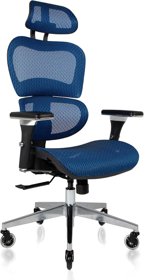 Office Chair with Lumbar Support High Back Mesh Desk Chair Best Desk Chair