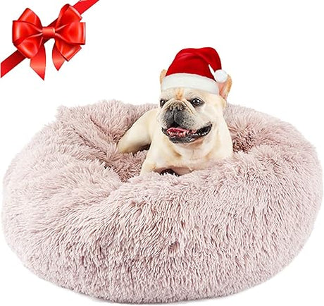 Dog Beds for Small Dogs, Donut Dog Bed with Blanket Attached, Calming Dog