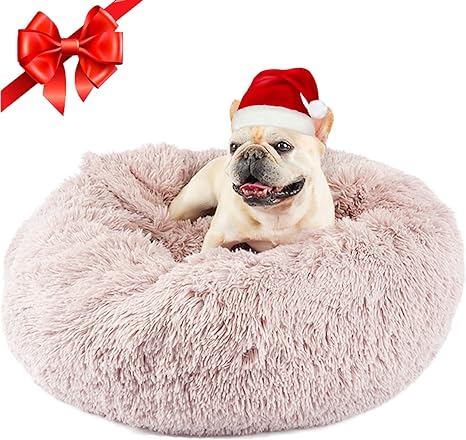 Dog Beds for Small Dogs, Donut Dog Bed with Blanket Attached