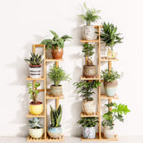 Bamboo 6 Tier 7 Potted Plant Stand Rack Multiple Flower Pot Holder Shelf