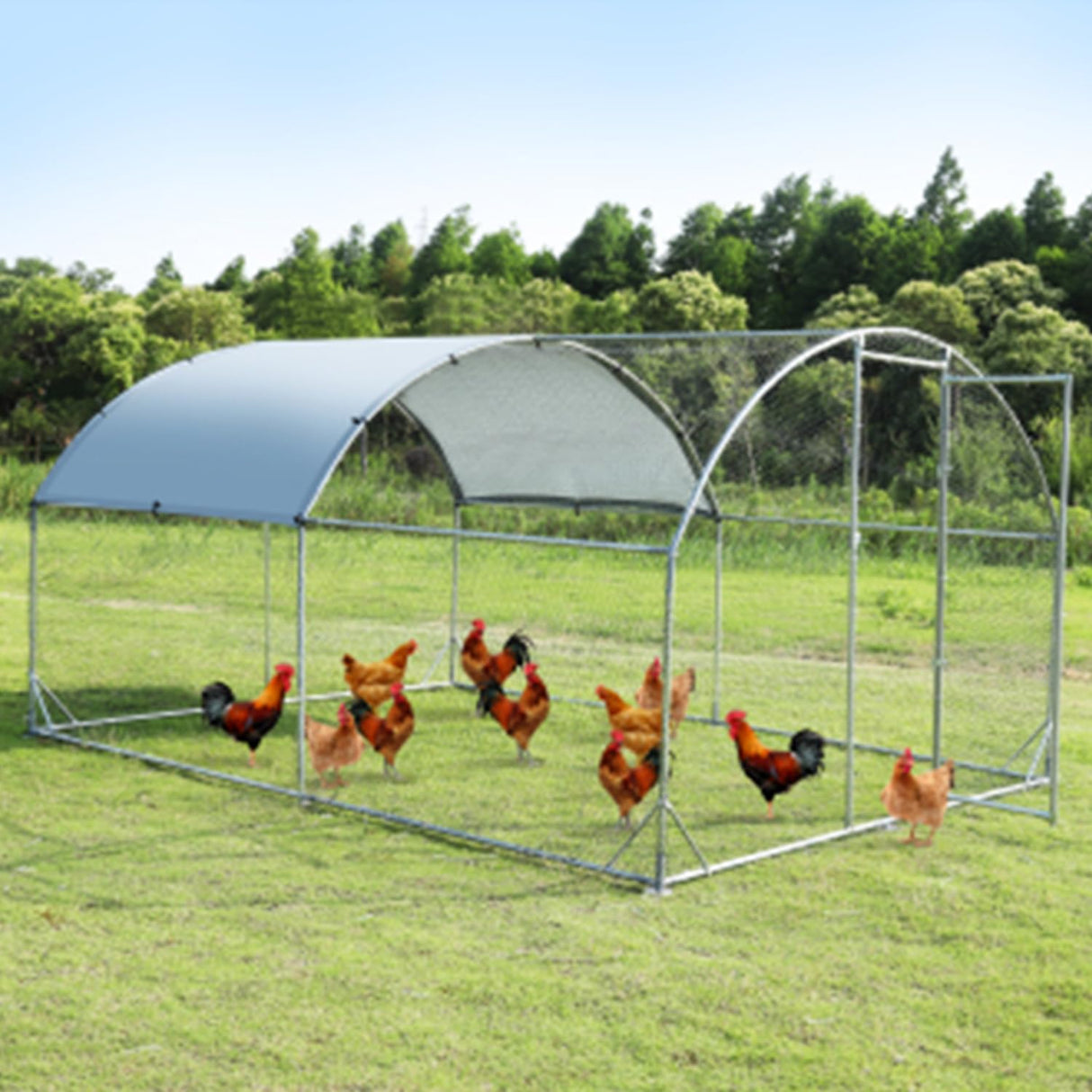 Large Metal Chicken Coop Walk-in Poultry Cage Heavy Duty Chicken Runs