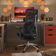 Office Chair - with Dual Dynamic Lumbar Support, 5-Level Adjustable Backrest, 4D