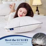 Goose Down Pillows Queen Size Set of 2, Luxury Hotel Collection Bed Pillow 2 Pack