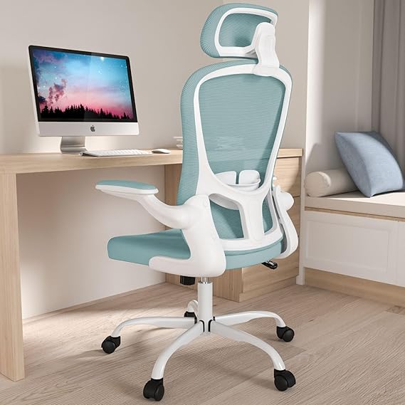 High Back Ergonomic Mesh Office Chair with Adjustable Lumbar Support