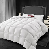 Comforter Queen Size - Winter Cream White Down Duvet Insert, Fluffy Warm Breathable
