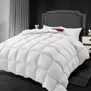 Comforter Queen Size - Winter Cream White Down Duvet Insert, Fluffy Warm Breathable